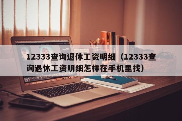 12333查询退休工资明细（12333查询退休工资明细怎样在手机里找）