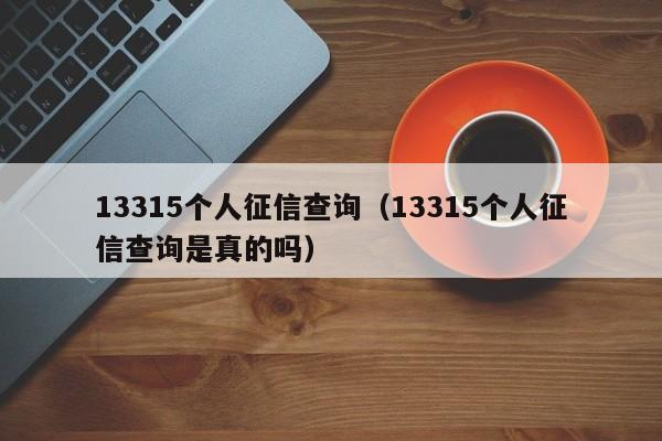 13315个人征信查询（13315个人征信查询是真的吗）