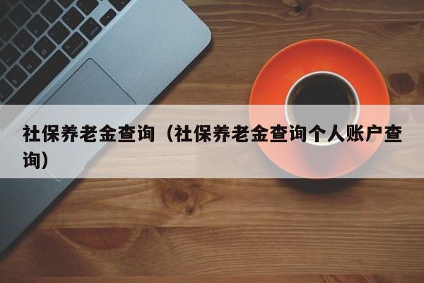 社保养老金查询（社保养老金查询个人账户查询）