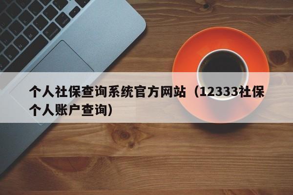 个人社保查询系统官方网站（12333社保个人账户查询）