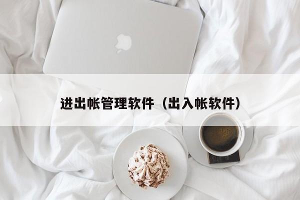 进出帐管理软件（出入帐软件）