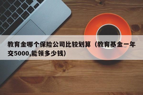 教育金哪个保险公司比较划算（教育基金一年交5000,能领多少钱）