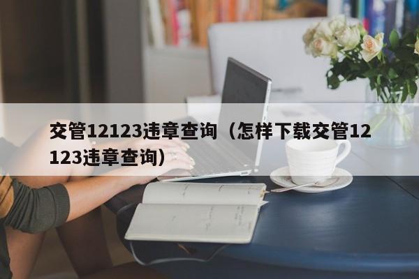 交管12123违章查询（怎样下载交管12123违章查询）