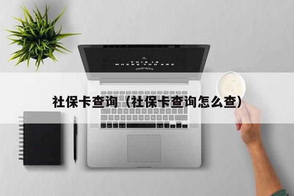 社保卡查询（社保卡查询怎么查）