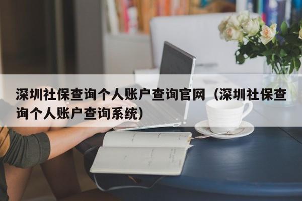 深圳社保查询个人账户查询官网（深圳社保查询个人账户查询系统）