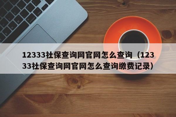 12333社保查询网官网怎么查询（12333社保查询网官网怎么查询缴费记录）