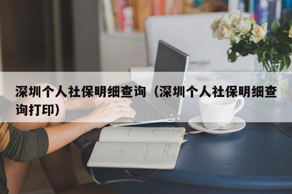 深圳个人社保明细查询（深圳个人社保明细查询打印）