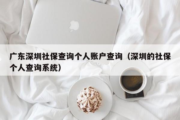 广东深圳社保查询个人账户查询（深圳的社保个人查询系统）