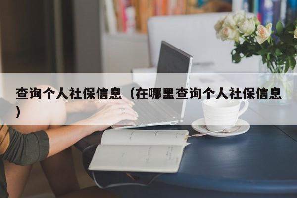 查询个人社保信息（在哪里查询个人社保信息）