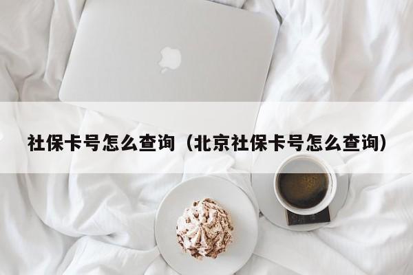 社保卡号怎么查询（北京社保卡号怎么查询）