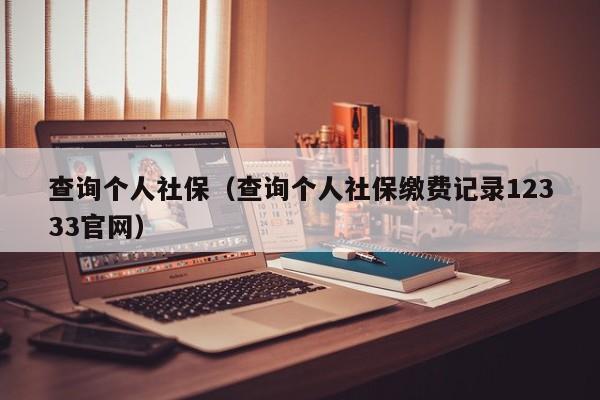 查询个人社保（查询个人社保缴费记录12333官网）