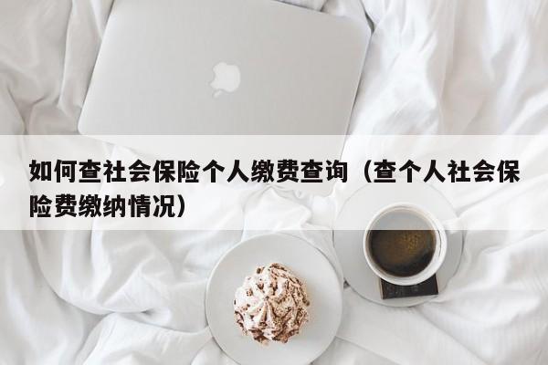 如何查社会保险个人缴费查询（查个人社会保险费缴纳情况）