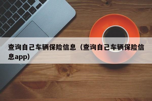 查询自己车辆保险信息（查询自己车辆保险信息app）