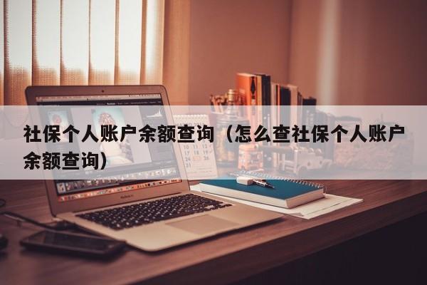 社保个人账户余额查询（怎么查社保个人账户余额查询）