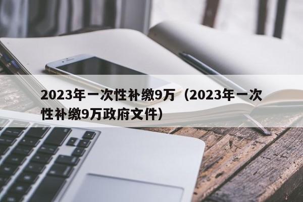 2023年一次性补缴9万（2023年一次性补缴9万政府文件）