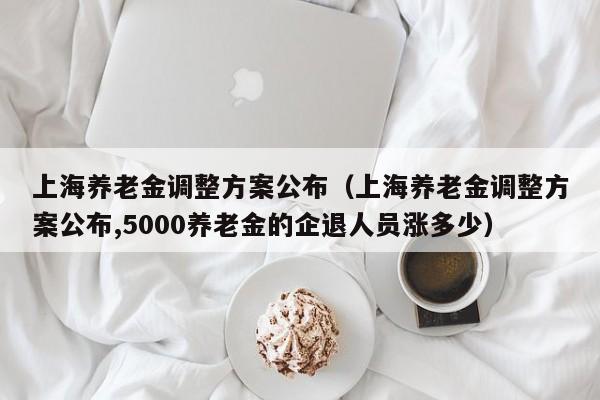 上海养老金调整方案公布（上海养老金调整方案公布,5000养老金的企退人员涨多少）