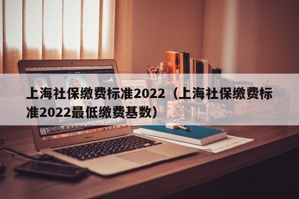 上海社保缴费标准2022（上海社保缴费标准2022最低缴费基数）