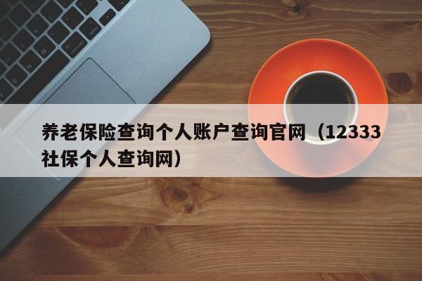 养老保险查询个人账户查询官网（12333社保个人查询网）