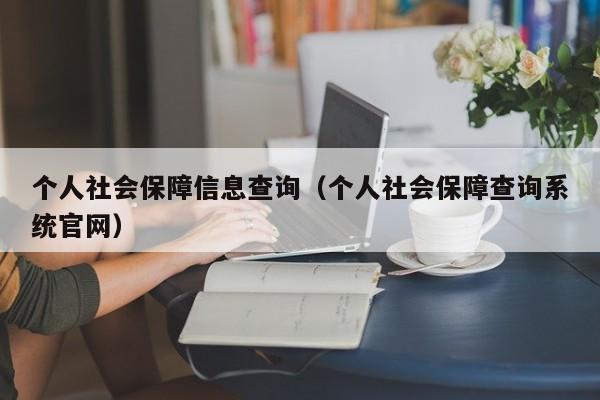 个人社会保障信息查询（个人社会保障查询系统官网）