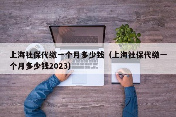 上海社保代缴一个月多少钱（上海社保代缴一个月多少钱2023）