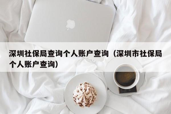 深圳社保局查询个人账户查询（深圳市社保局个人账户查询）