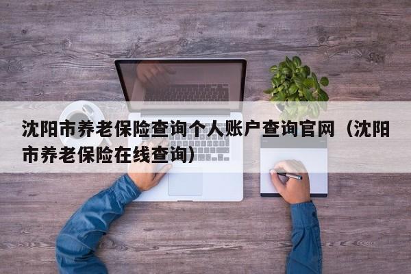 沈阳市养老保险查询个人账户查询官网（沈阳市养老保险在线查询）