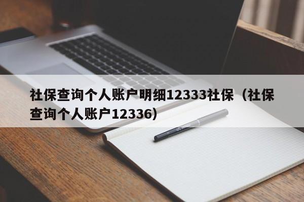 社保查询个人账户明细12333社保（社保查询个人账户12336）