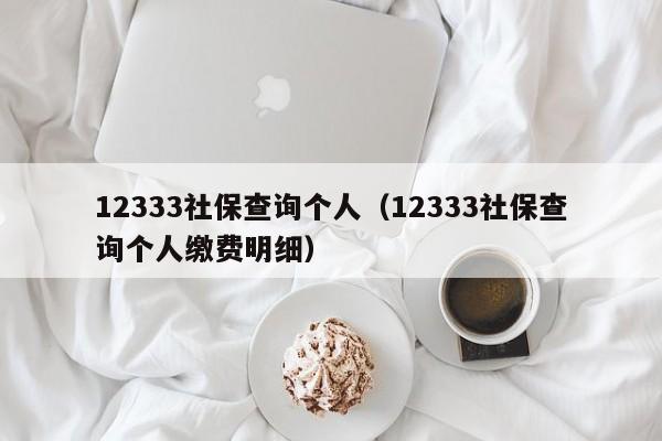 12333社保查询个人（12333社保查询个人缴费明细）