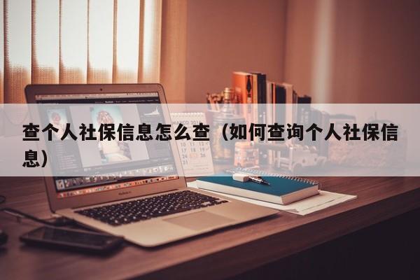 查个人社保信息怎么查（如何查询个人社保信息）