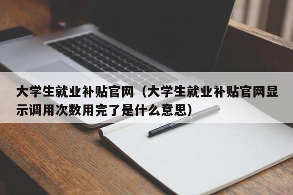 大学生就业补贴官网（大学生就业补贴官网显示调用次数用完了是什么意思）