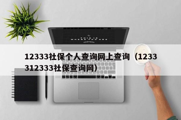 12333社保个人查询网上查询（1233312333社保查询网）