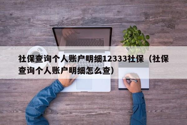 社保查询个人账户明细12333社保（社保查询个人账户明细怎么查）