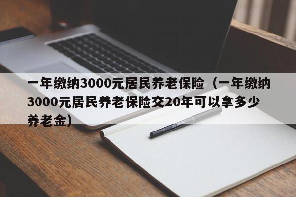 一年缴纳3000元居民养老保险（一年缴纳3000元居民养老保险交20年可以拿多少养老金）