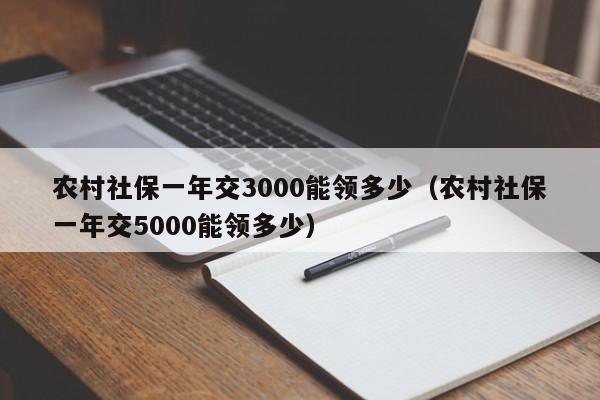 农村社保一年交3000能领多少（农村社保一年交5000能领多少）