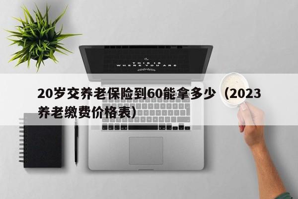 20岁交养老保险到60能拿多少（2023养老缴费价格表）