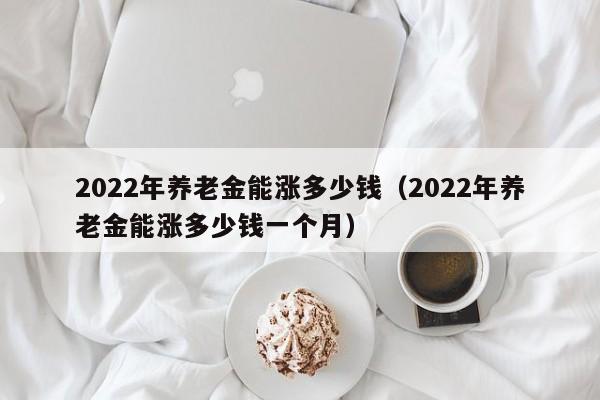 2022年养老金能涨多少钱（2022年养老金能涨多少钱一个月）