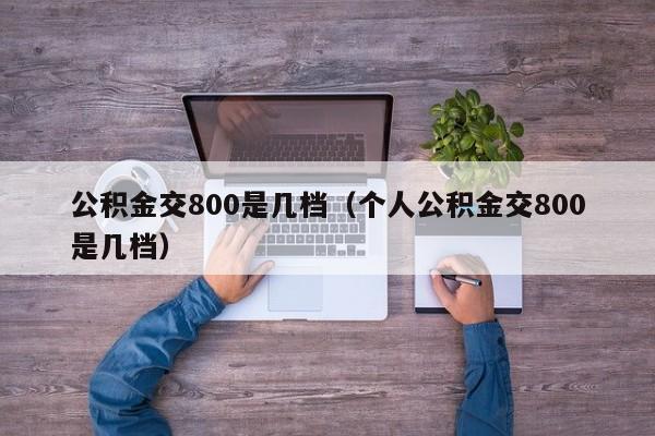 公积金交800是几档（个人公积金交800是几档）