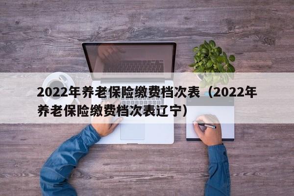 2022年养老保险缴费档次表（2022年养老保险缴费档次表辽宁）