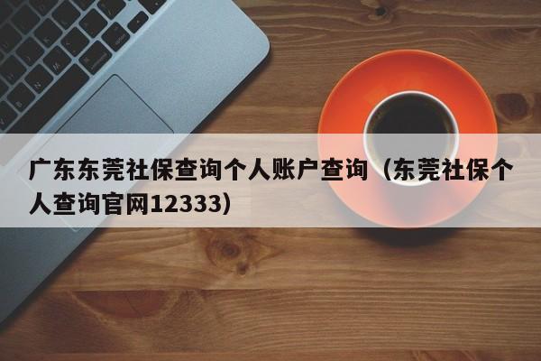 广东东莞社保查询个人账户查询（东莞社保个人查询官网12333）