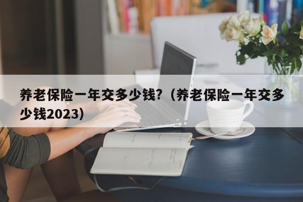 养老保险一年交多少钱?（养老保险一年交多少钱2023）