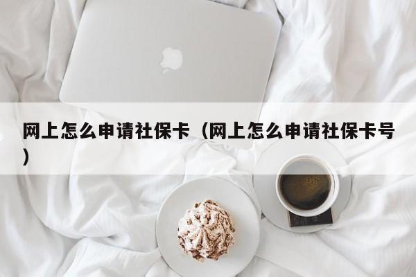 网上怎么申请社保卡（网上怎么申请社保卡号）