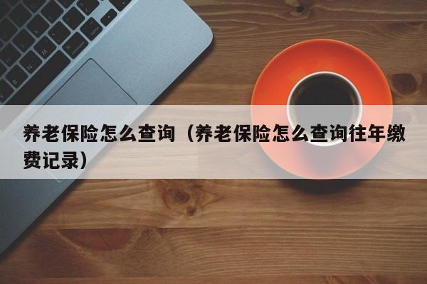 养老保险怎么查询（养老保险怎么查询往年缴费记录）