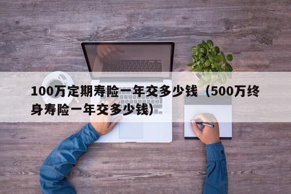 100万定期寿险一年交多少钱（500万终身寿险一年交多少钱）