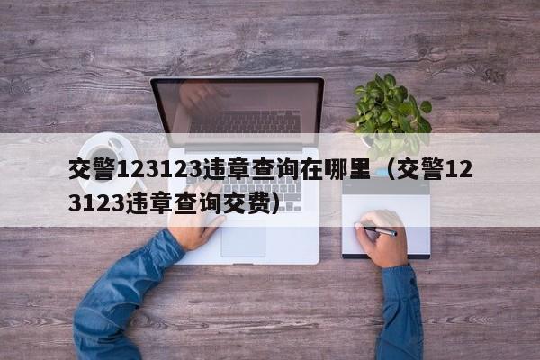 交警123123违章查询在哪里（交警123123违章查询交费）