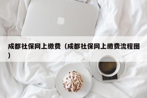 成都社保网上缴费（成都社保网上缴费流程图）